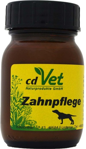 Zahnpflege